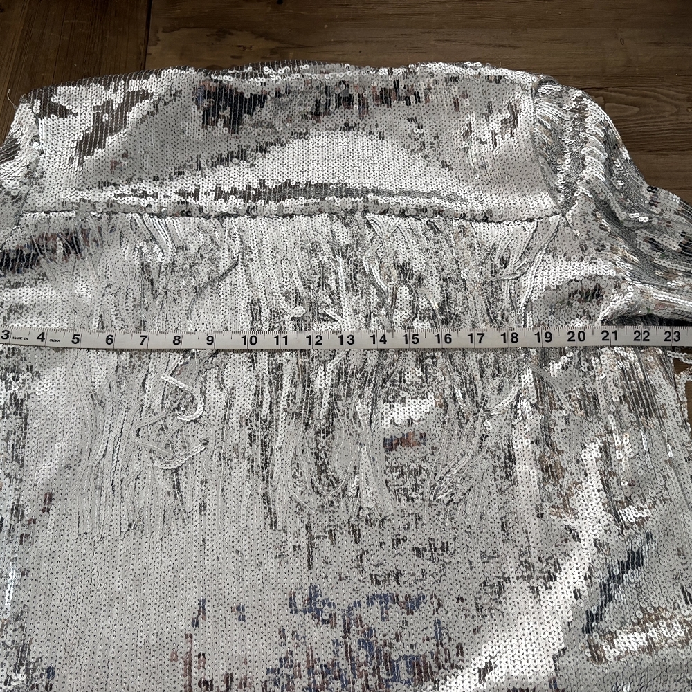 Source Unknown Shimmering Silver Fringe Blazer - Picture 4 of 5